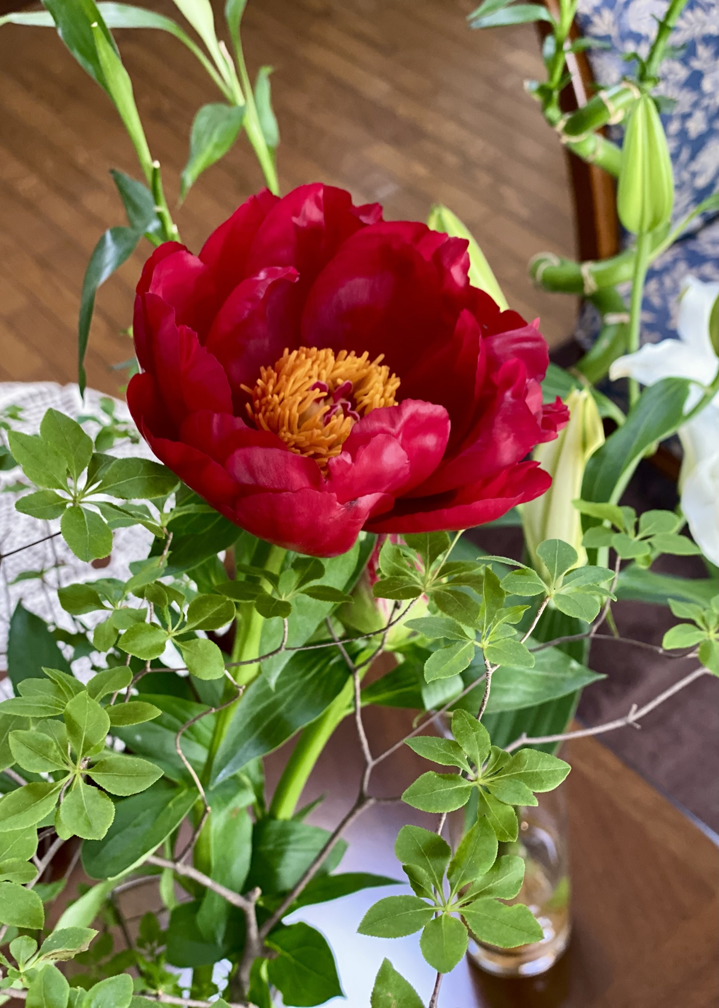 芍薬(シャクヤク)の魅力|ボタンとの違いは?花言葉・飾り方・長持ちさせるコツも紹介 | 花と暮らし